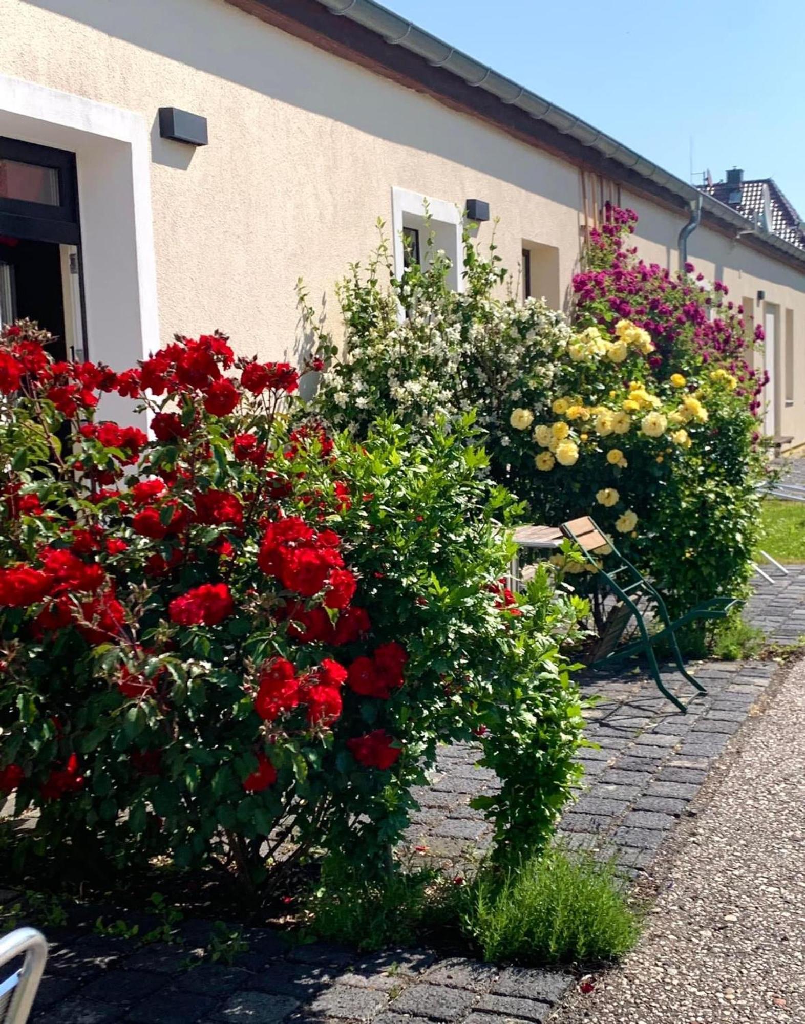 Die Senfbude - Klein Aber Fein - Wunderschoenes Studio-Apartment Mit Terrasse Und Stellplatz Лейпциг Экстерьер фото